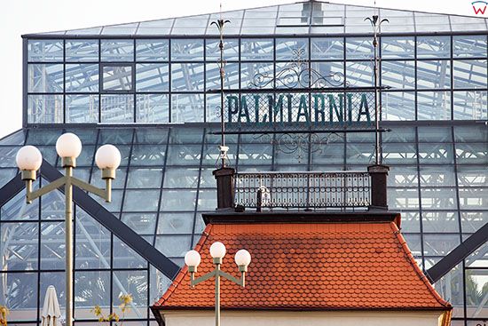 Zielona Gora, Palmiarnia. EU, PL, Lubuskie.